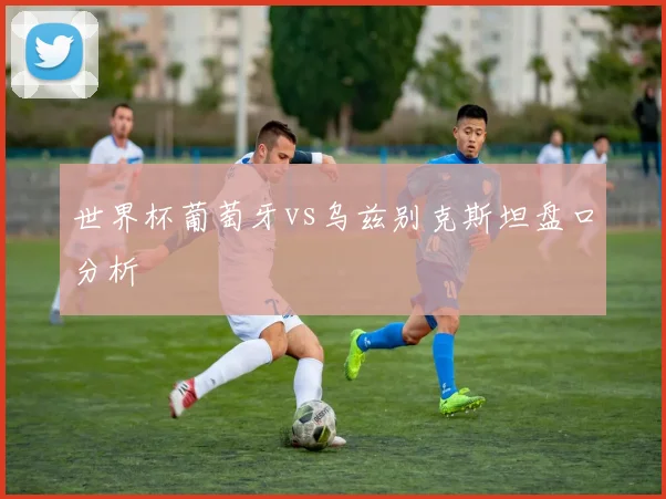 世界杯葡萄牙vs乌兹别克斯坦盘口分析