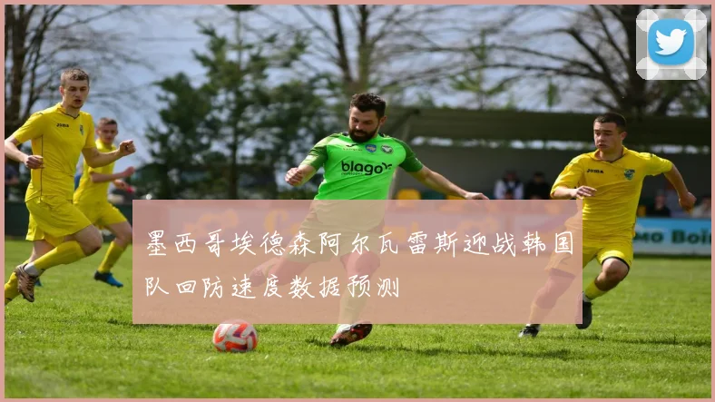 墨西哥埃德森阿尔瓦雷斯迎战韩国队回防速度数据预测