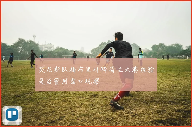 突尼斯队梅布里对阵荷兰大赛经验是否管用盘口观察