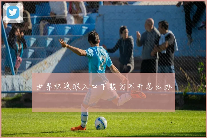 世界杯滚球入口下载打不开怎么办