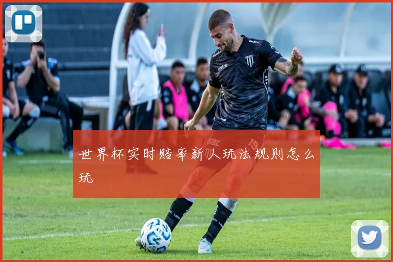 世界杯实时赔率新人玩法规则怎么玩